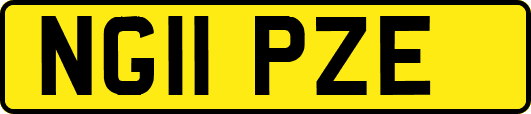 NG11PZE