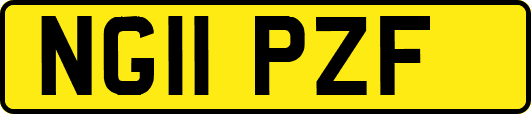 NG11PZF