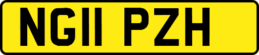 NG11PZH
