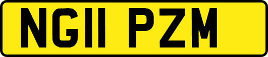 NG11PZM