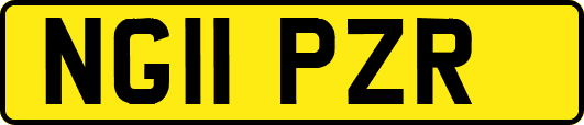 NG11PZR