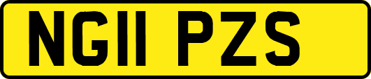 NG11PZS