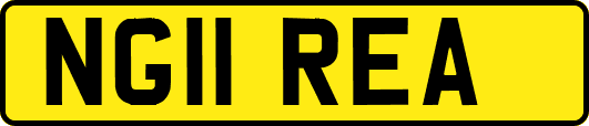 NG11REA