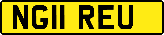 NG11REU