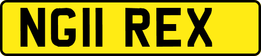 NG11REX