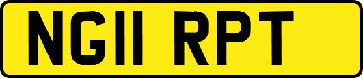 NG11RPT