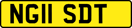 NG11SDT