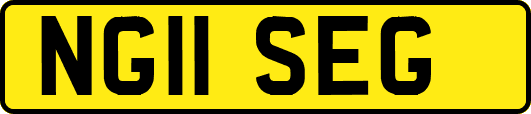 NG11SEG
