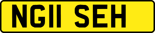 NG11SEH