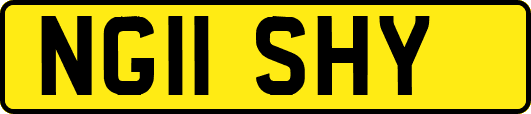 NG11SHY