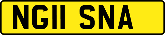 NG11SNA