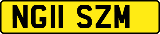 NG11SZM