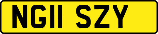 NG11SZY