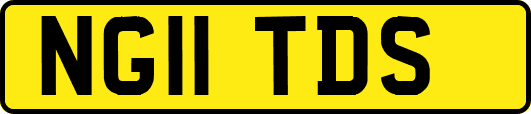 NG11TDS