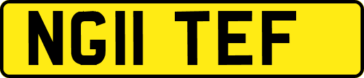 NG11TEF