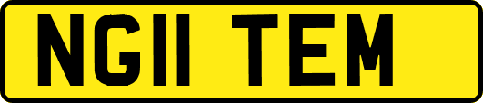 NG11TEM