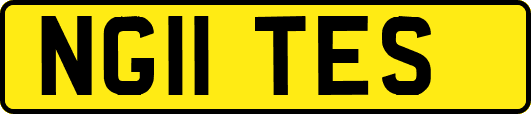 NG11TES
