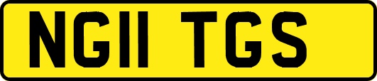 NG11TGS