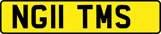 NG11TMS