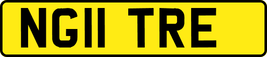 NG11TRE