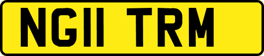 NG11TRM