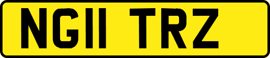 NG11TRZ
