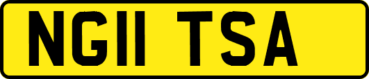 NG11TSA