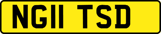 NG11TSD