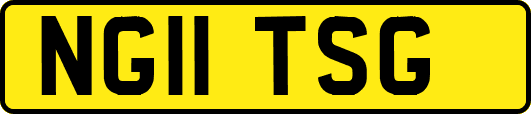 NG11TSG