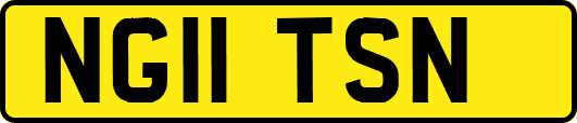 NG11TSN