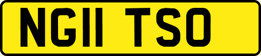 NG11TSO