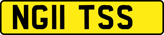 NG11TSS