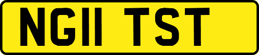 NG11TST
