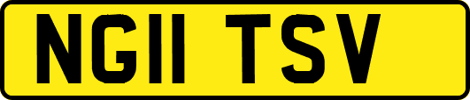 NG11TSV