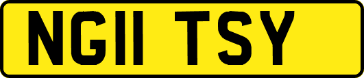 NG11TSY