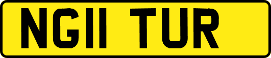 NG11TUR