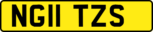 NG11TZS