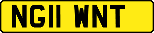 NG11WNT