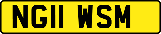 NG11WSM