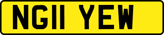 NG11YEW