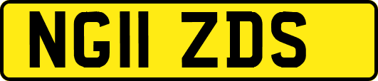 NG11ZDS