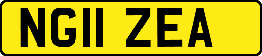 NG11ZEA