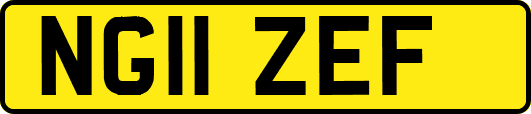NG11ZEF