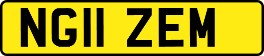 NG11ZEM