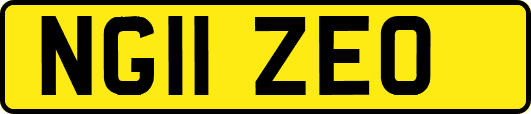 NG11ZEO