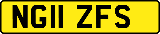 NG11ZFS