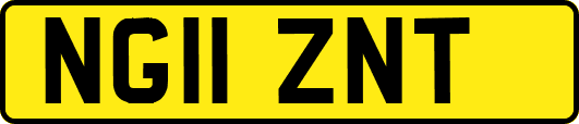 NG11ZNT