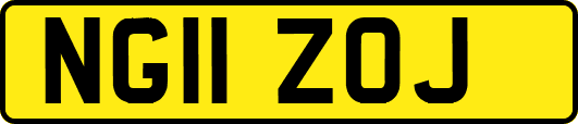 NG11ZOJ