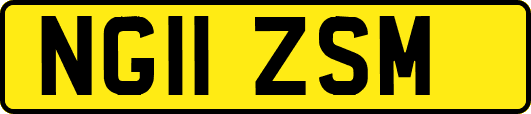 NG11ZSM