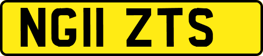 NG11ZTS